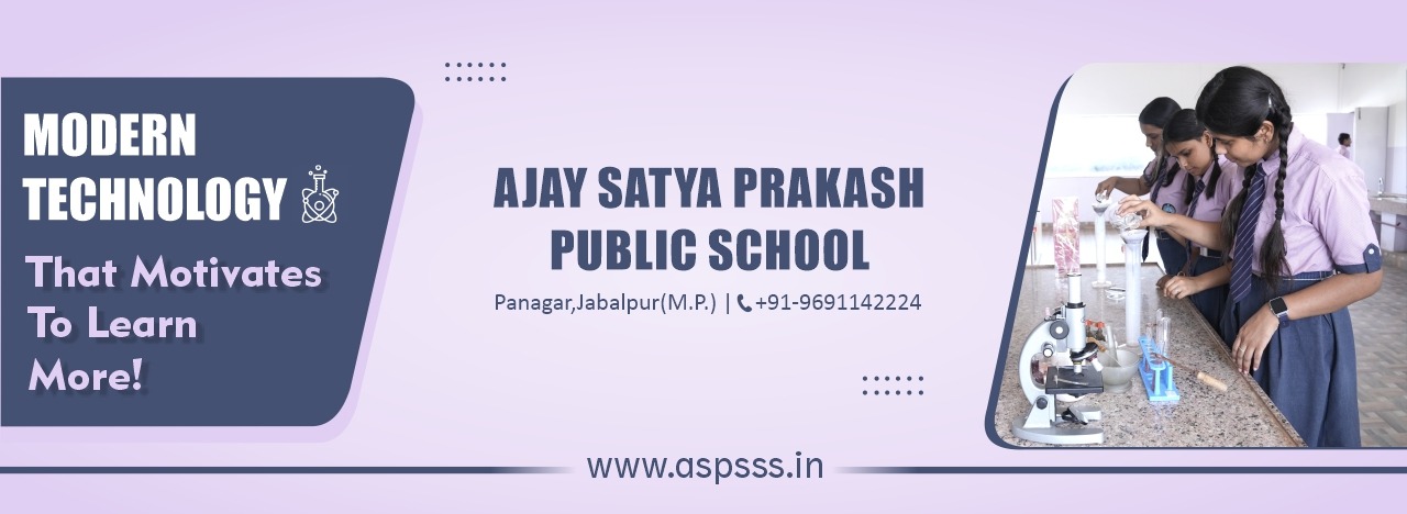 ajay satyaprakash public school